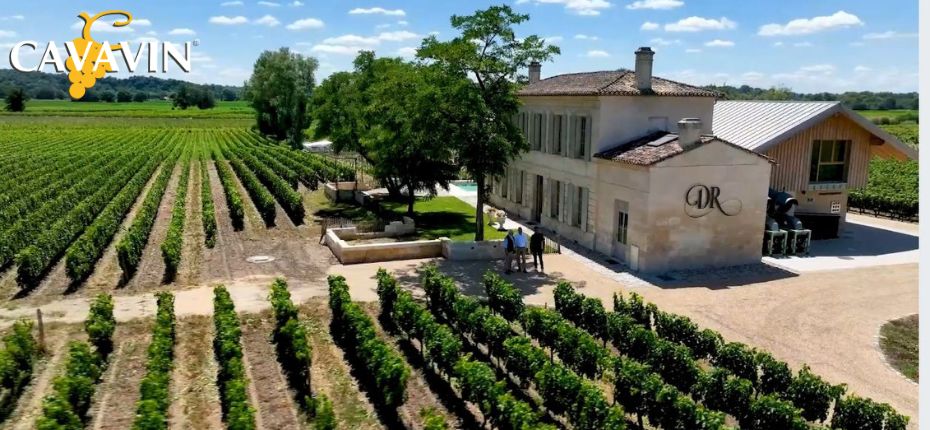 CAVAVIN fête ses 40 ans : entre tradition, passion et innovation