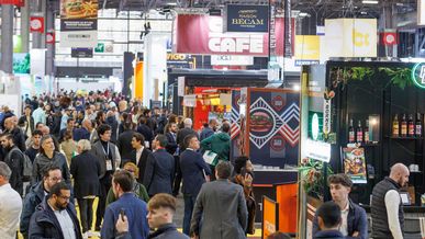 Venez sur le stand d’AfriqueFranchise.com et de CamerounFranchise à Franchise Expo Paris, du 15 au 17 mars 2025, à Paris Porte de Versailles !