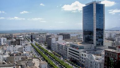Les Nouveaux Franchiseurs Tunisiens : Un Écosystème en Pleine Expansion